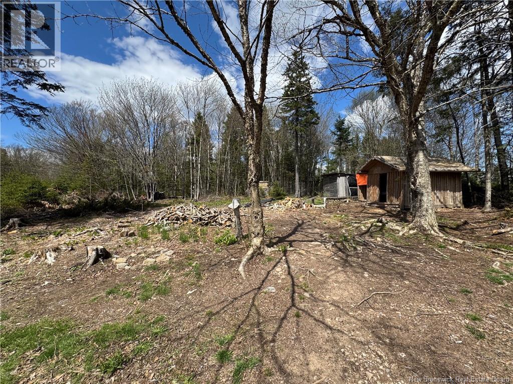 199 East Scotch Settlement Road - 6