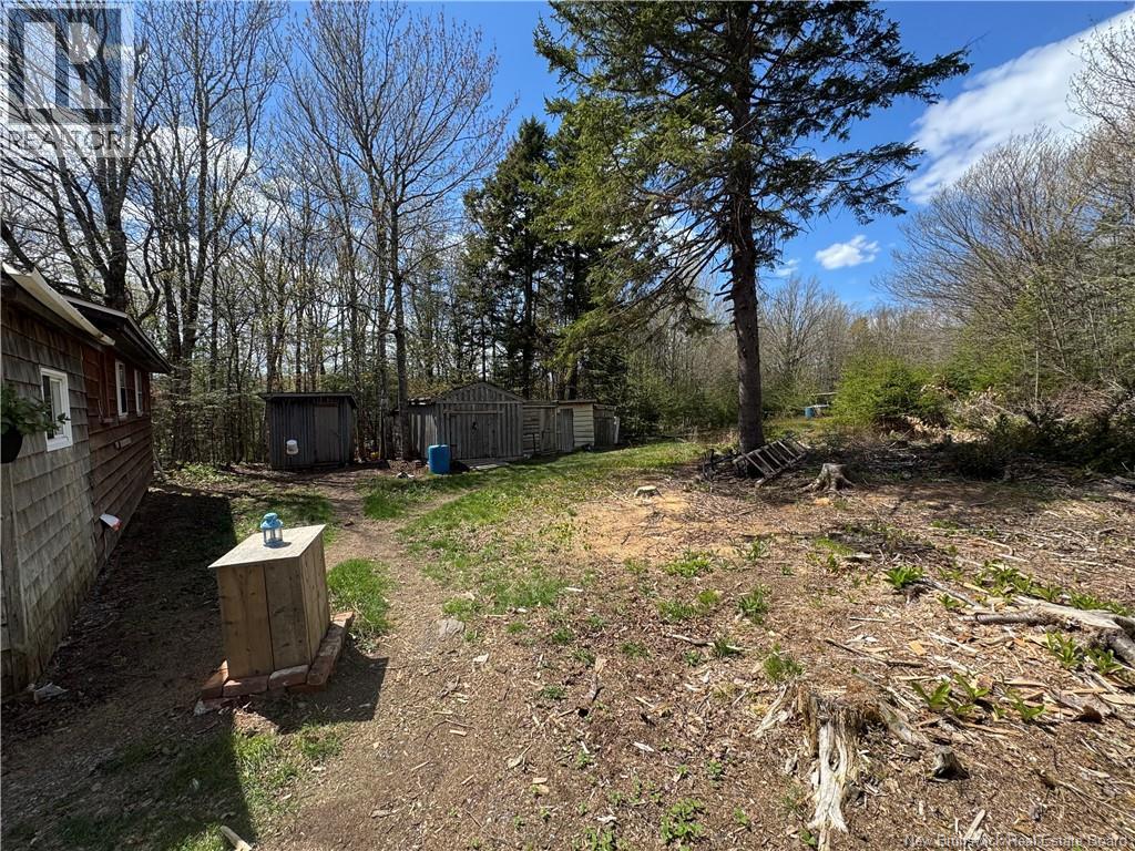 199 East Scotch Settlement Road - 7