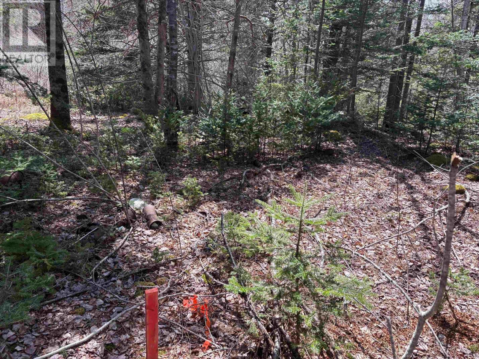 Property 4 of 6 of Lot 2 Beech Hill Road