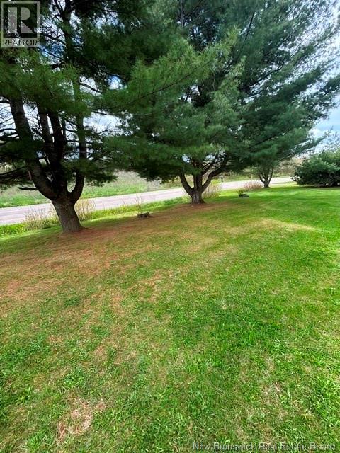 709 Back Road - 21