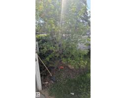 4 Amberly Ct Nw, Edmonton, AB T5A2H9 Photo 32