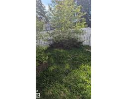 4 Amberly Ct Nw, Edmonton, AB T5A2H9 Photo 17