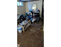 4 Amberly Ct Nw, Edmonton, AB T5A2H9 Photo 15