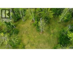 Lot Newburg Road, Newburg, NB E7N1N5 Photo 6