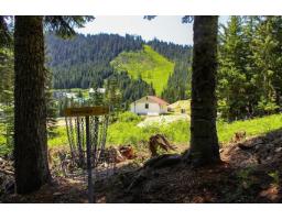 2 20649 Edelweiss Drive, Agassiz, BC V0M1A1 Photo 39