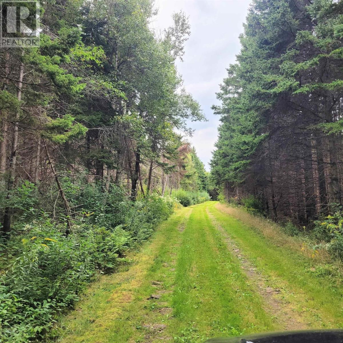 432 Stewart Road - 12