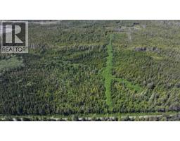 556 Davis Road, Daajing Giids Rural, BC V0T1Y0 Photo 9