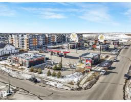 22522 98a Av Nw, Edmonton, AB T5T7C1 Photo 20
