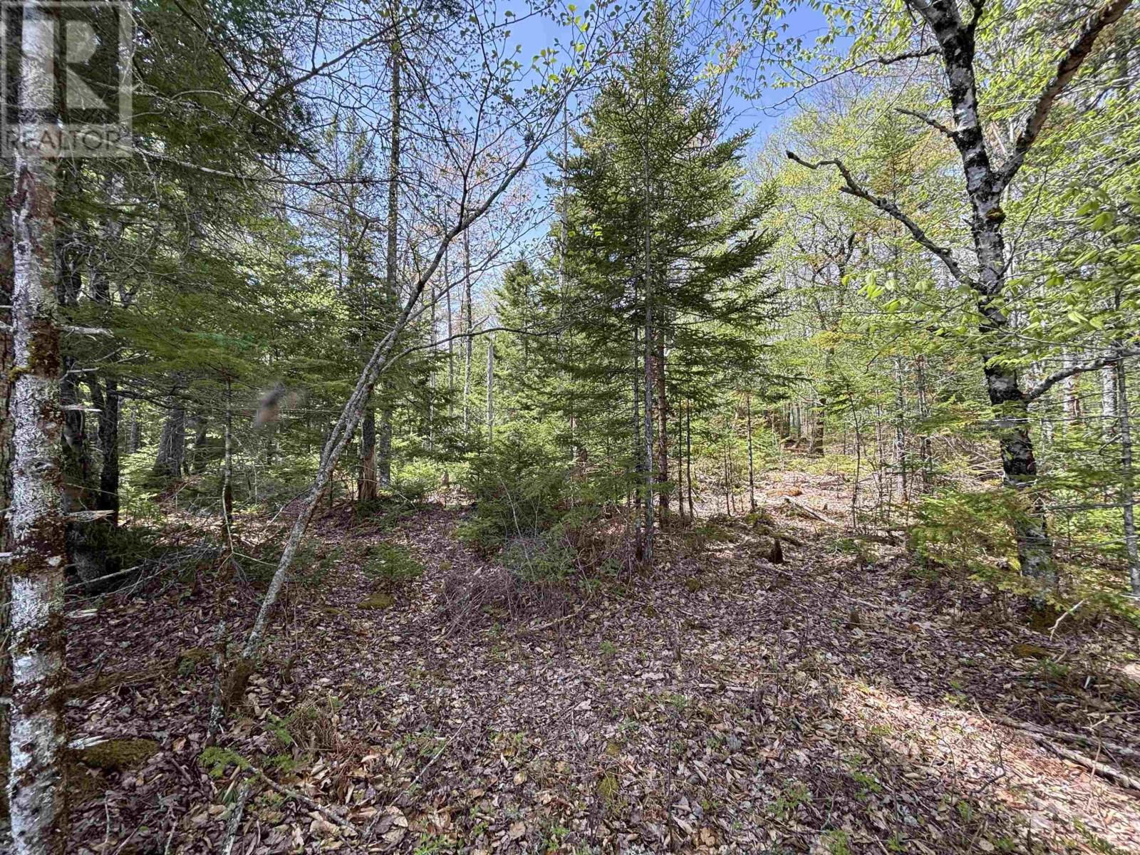 Property 6 of 10 of Lot 5-23 Highway 325