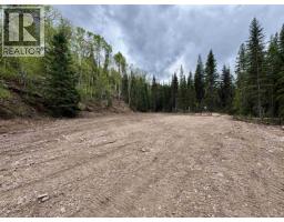 1765 Aveling Coalmine Road, Telkwa, BC V0J2X3 Photo 10