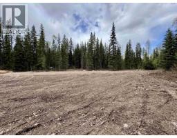 1765 Aveling Coalmine Road, Telkwa, BC V0J2X3 Photo 12