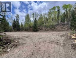 1765 Aveling Coalmine Road, Telkwa, BC V0J2X3 Photo 9