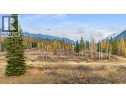 Lot B Henderson Avenue, Salmo, BC V0G1Z0 Photo 6