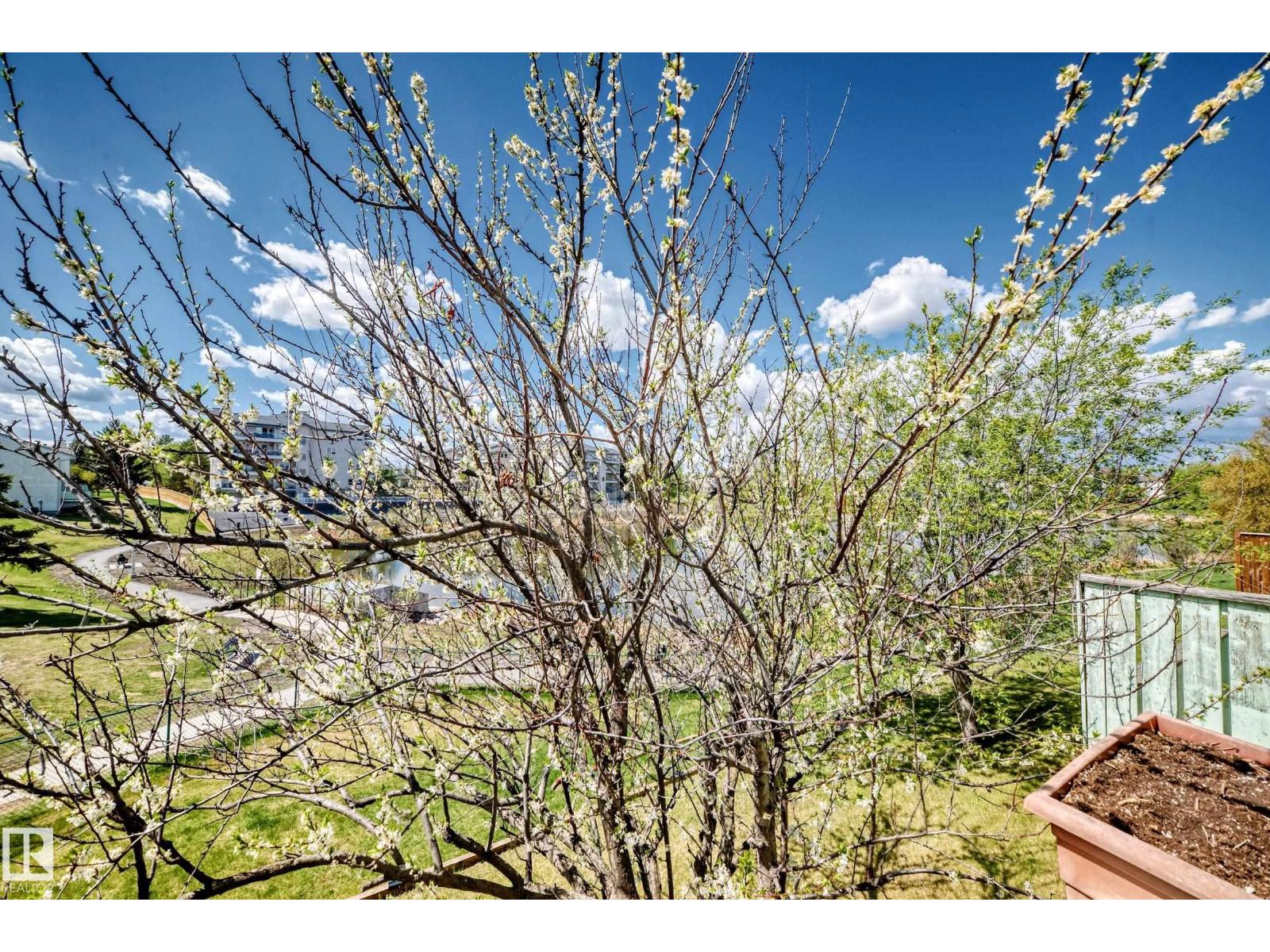 #28 9520 174 ST NW - 21