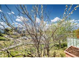 #28 9520 174 St Nw, Edmonton, AB T5T5Z3 Photo 21