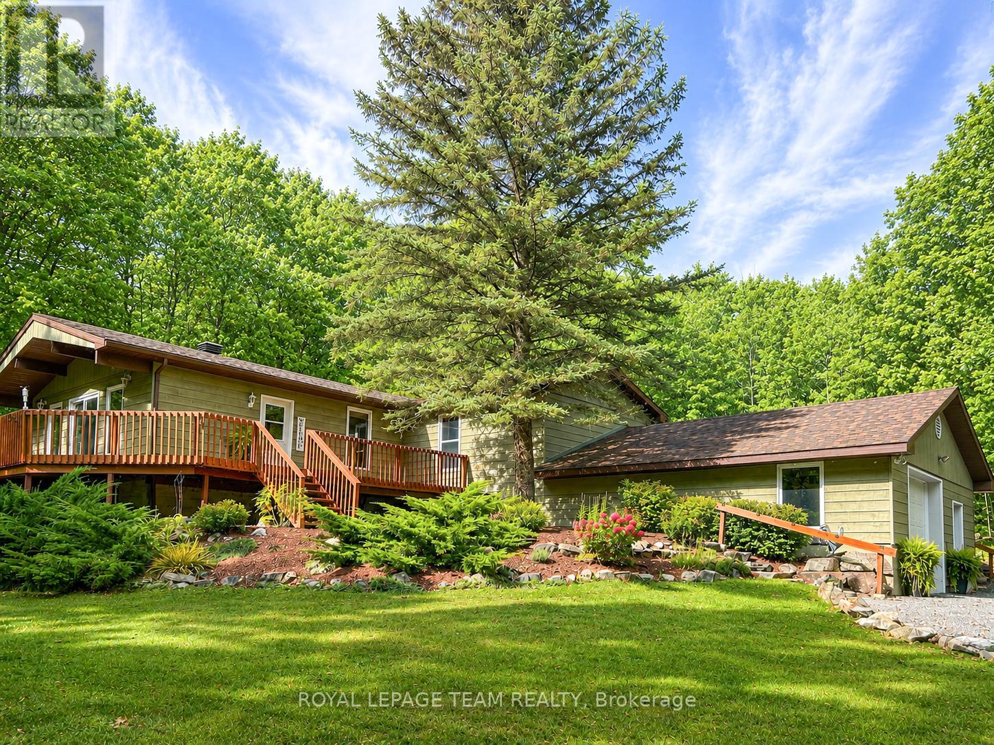 371 KENNEDY ROAD - 1