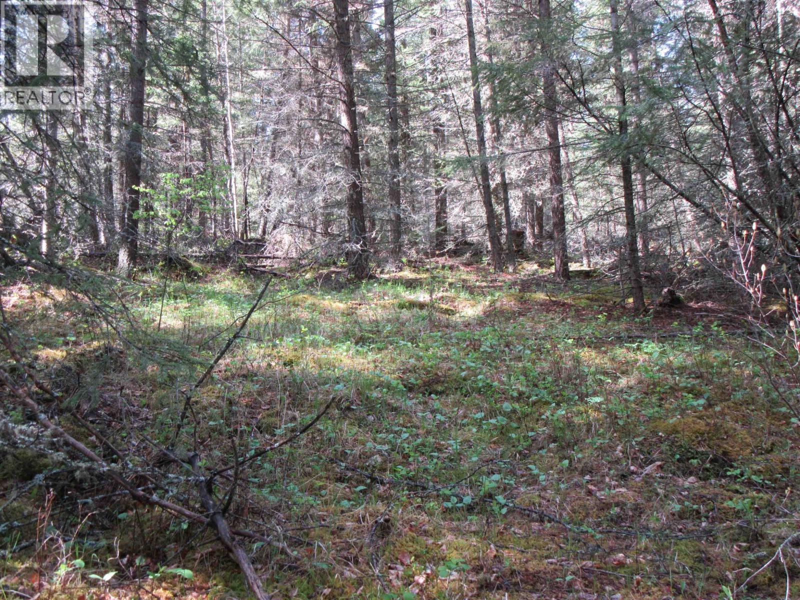 7681 BURGESS ROAD - 10