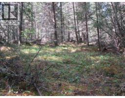 7681 Burgess Road, Deka Lake / Sulphurous / Hathaway Lakes, BC V0K1X3 Photo 10