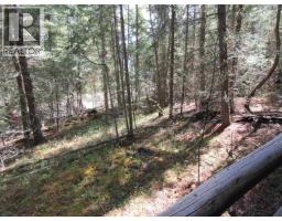 7681 Burgess Road, Deka Lake / Sulphurous / Hathaway Lakes, BC V0K1X3 Photo 9