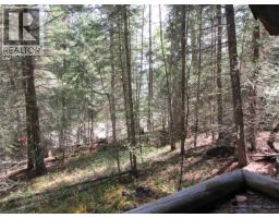 7681 Burgess Road, Deka Lake / Sulphurous / Hathaway Lakes, BC V0K1X3 Photo 7
