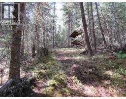 7681 Burgess Road, Deka Lake / Sulphurous / Hathaway Lakes, BC V0K1X3 Photo 12