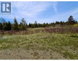 1.3 Acres Route 113, Miscou, NB E8T1C7 Photo 9
