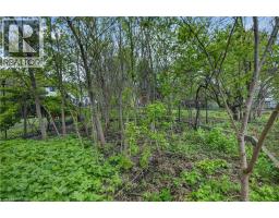 121 Elizabeth Street, Guelph, ON N1E2X4 Photo 9