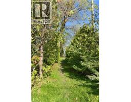 71738 Old Cedarbank Lane, Bluewater, ON N0M1N0 Photo 39