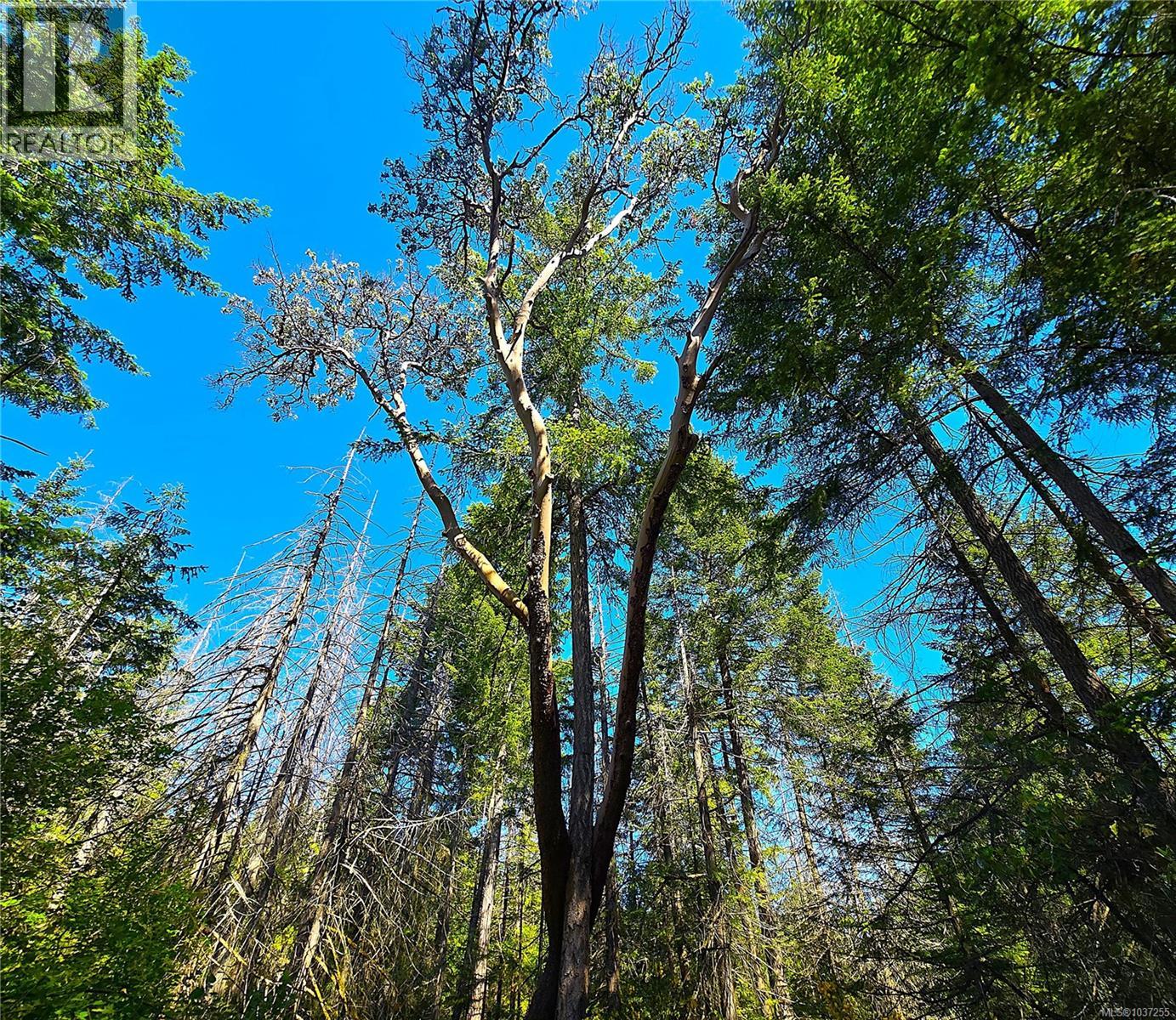 516 Berg Rd - 29