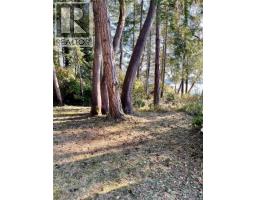 760 Sunset Dr, Salt Spring, BC V8K1E7 Photo 23