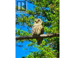 516 Berg Rd, Gabriola Island, BC V0R1X2 Photo 27