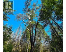 516 Berg Rd, Gabriola Island, BC V0R1X2 Photo 28