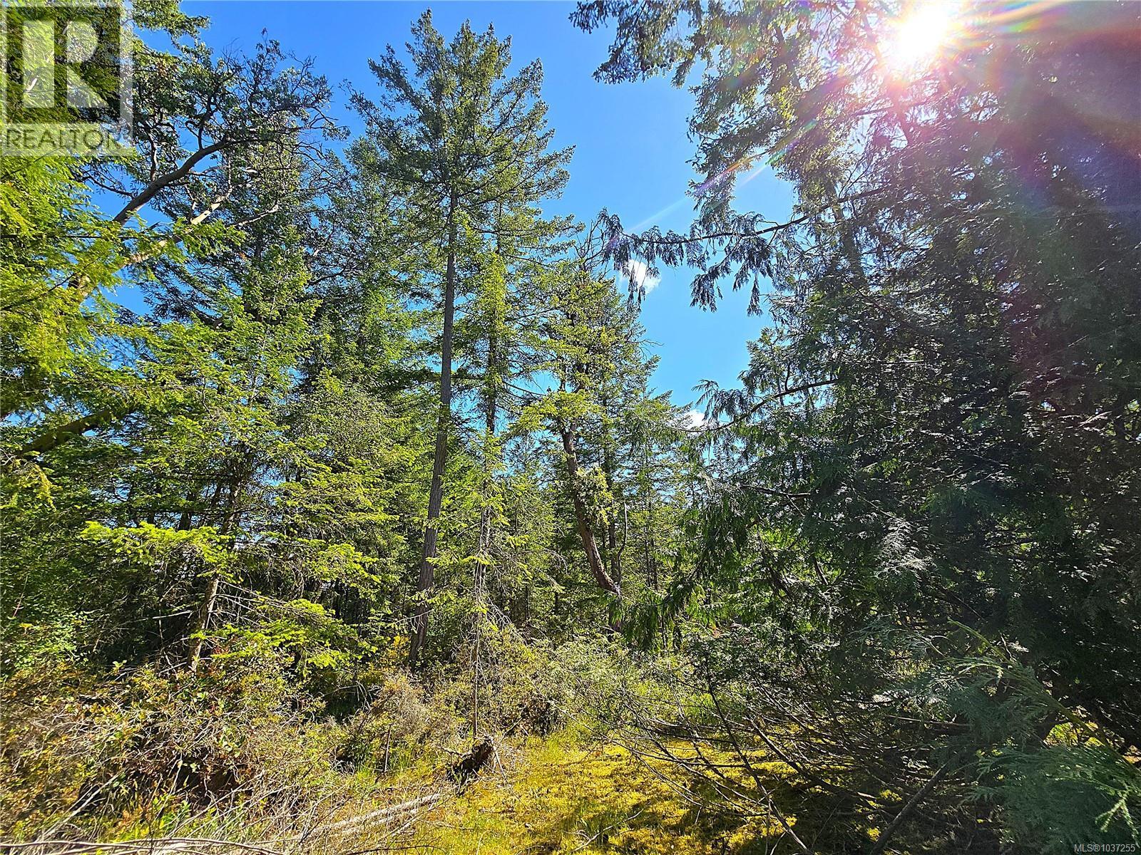 516 Berg Rd - 29