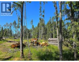 516 Berg Rd, Gabriola Island, BC V0R1X2 Photo 30