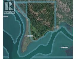 No Address, Revelstoke, BC V0E2S3 Photo 11