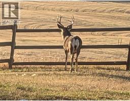 2994 Duck Range Road, Pritchard, BC V0E2P0 Photo 91