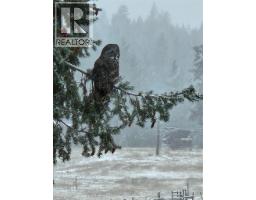 2994 Duck Range Road, Pritchard, BC V0E2P0 Photo 97