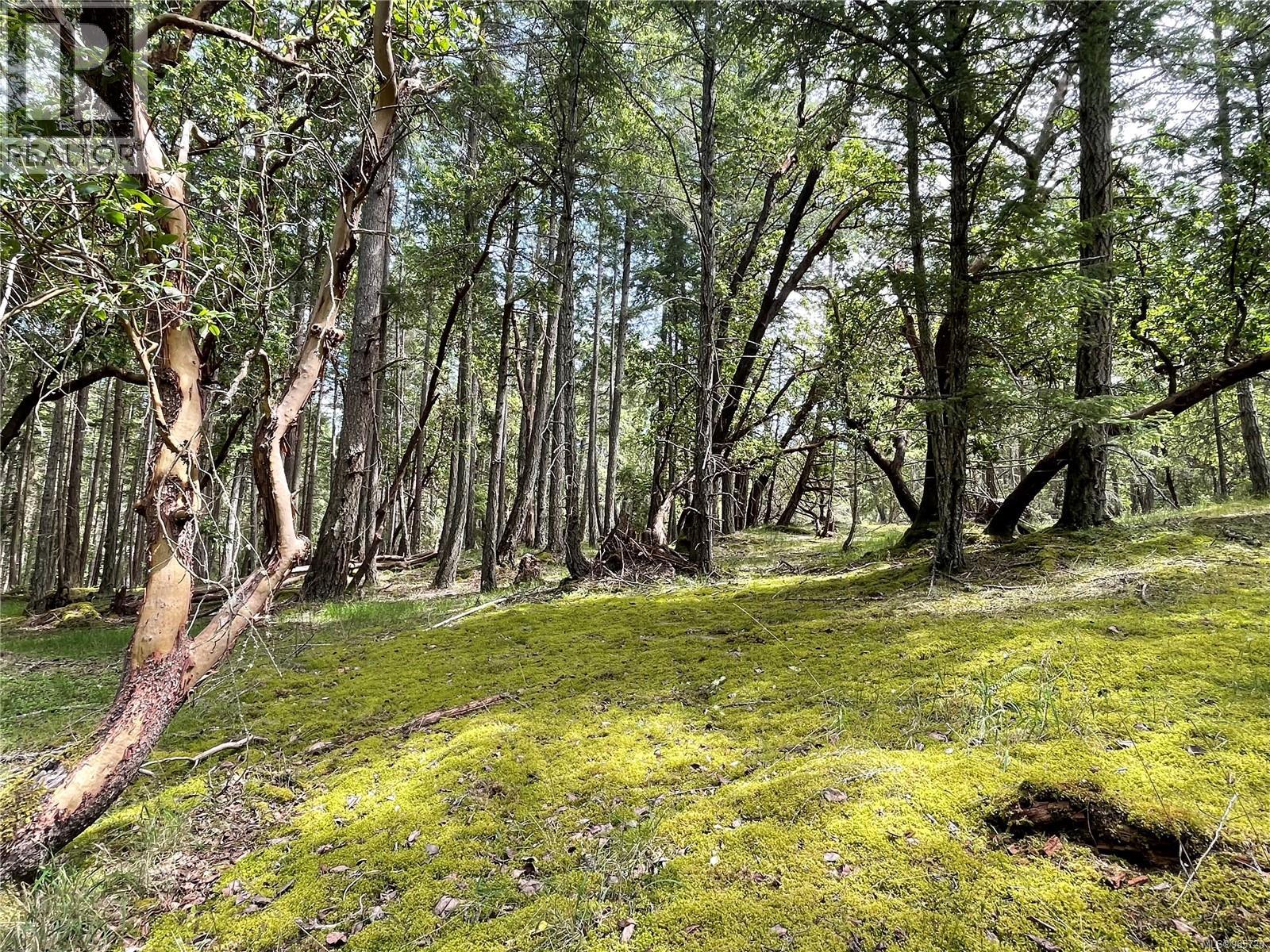 Lot 2 Driftwood Dr, Mudge Island