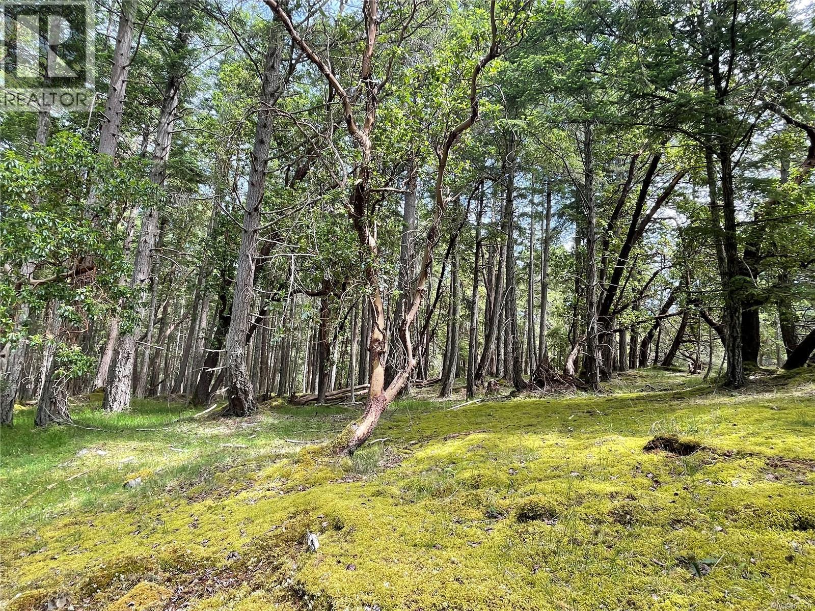 Lot 2 Driftwood Dr, Mudge Island