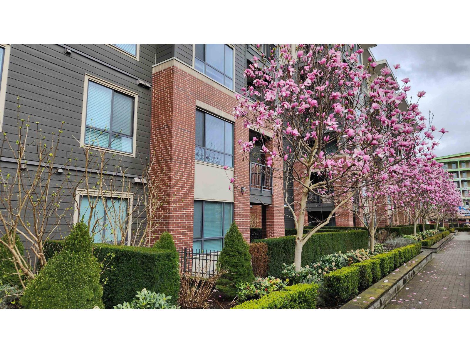 102 33540 MAYFAIR AVENUE, Abbotsford