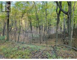 154&155 Lot, Thorold, ON L0S1E6 Photo 11