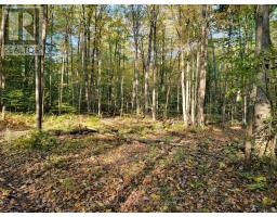 154&155 Lot, Thorold, ON L0S1E6 Photo 8