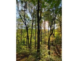 154&155 Lot, Thorold, ON L0S1E6 Photo 9