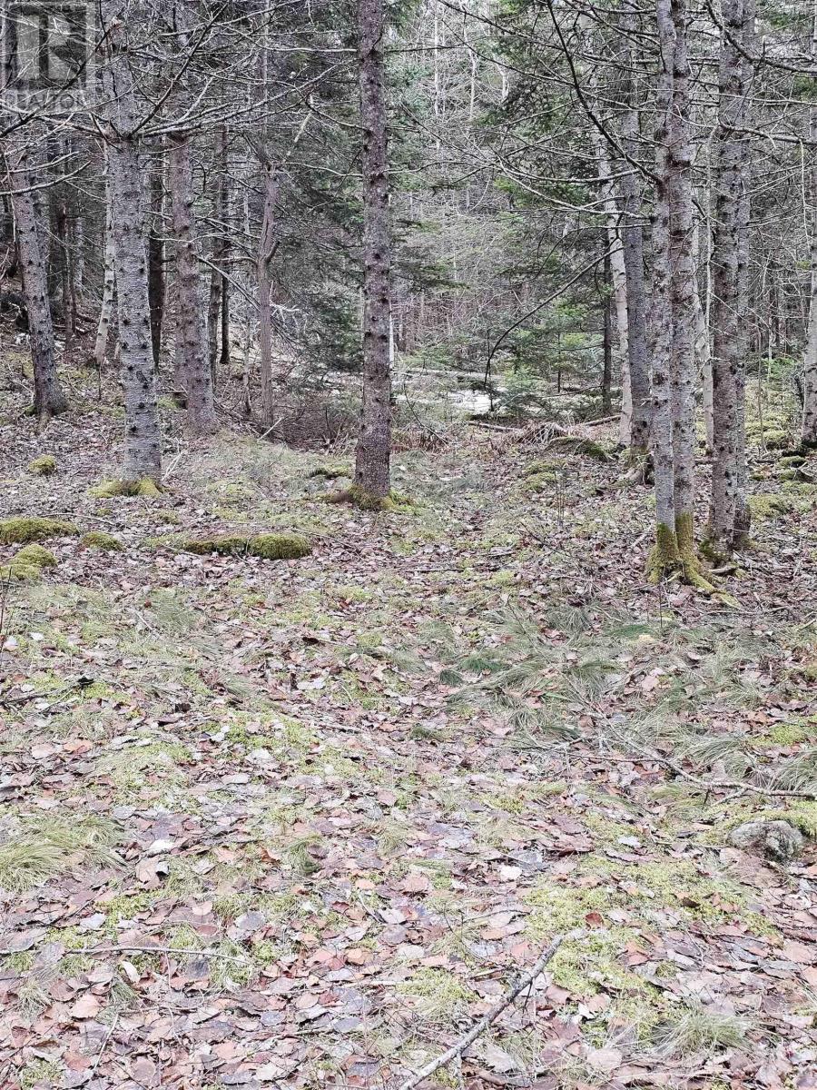 Property 13 of 15 of Lot Forest Glade Road
