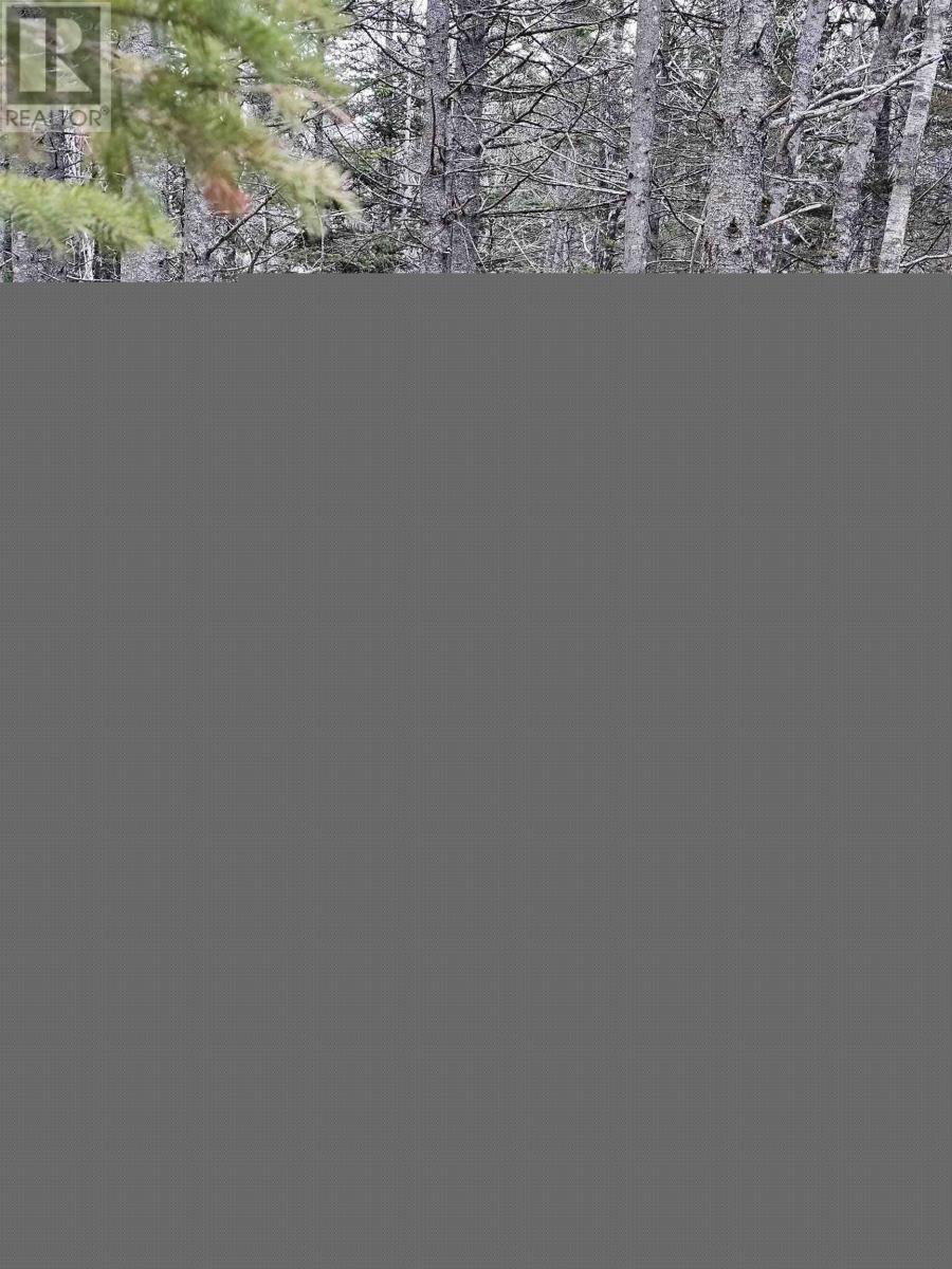 Property 15 of 15 of Lot Forest Glade Road