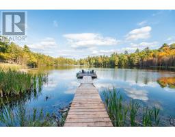 28034 Highway 41, Greater Madawaska, ON K0J1N0 Photo 44