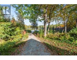 28034 Highway 41, Greater Madawaska, ON K0J1N0 Photo 45