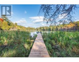 28034 Highway 41, Greater Madawaska, ON K0J1N0 Photo 46