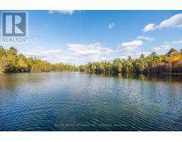 28034 Highway 41, Greater Madawaska, ON K0J1N0 Photo 47