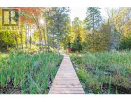 28034 Highway 41, Greater Madawaska, ON K0J1N0 Photo 48